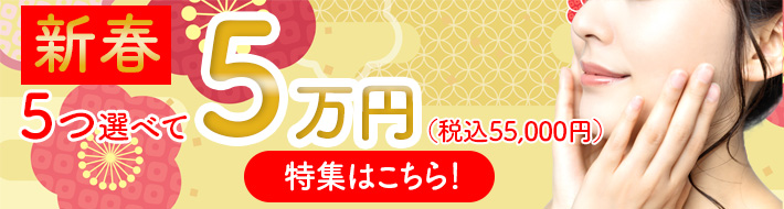 5つ選んで５万円バナー