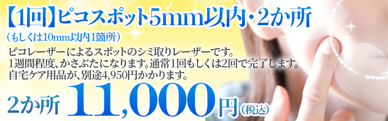 ピコスポットバナー